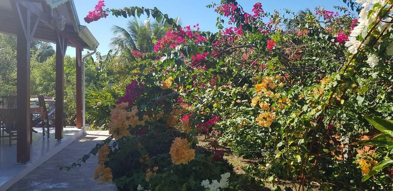 Tatil Evi Bungalow Saint-Francois 